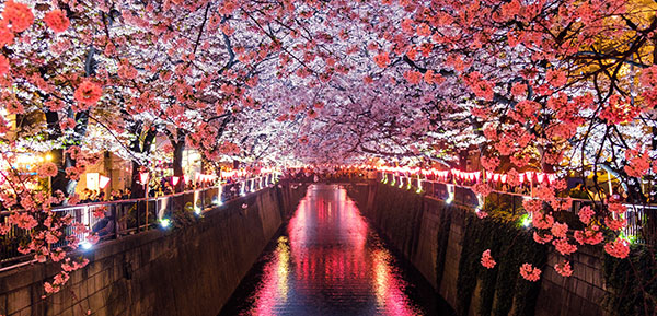 Meguro River, Matsuno, Japan