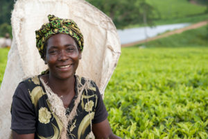 International Tea Day: The Importance of Tea Workers at Satemwa Estate