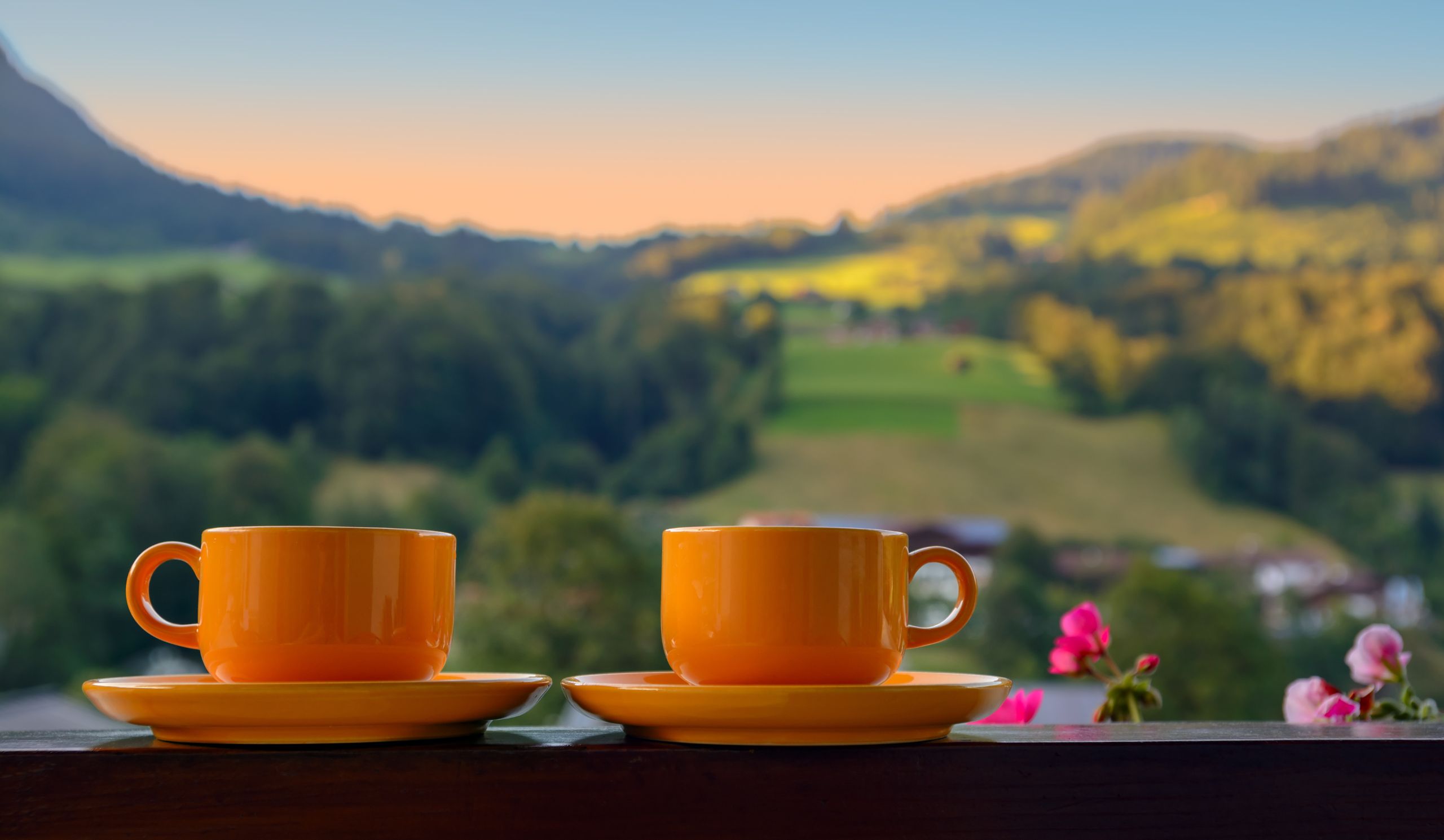 Tea Bags: Convenience or Compromise?