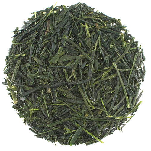 Shincha Hashiri Japanese Green Tea